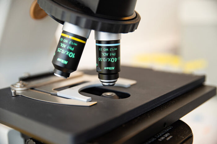 Close-up of a microscope with 10x and 40x objective lenses focused on a slide stage