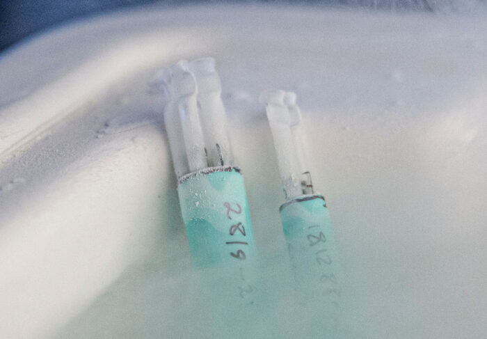 Social Freezing og Ægnedfrysning af ubefrugtede æg hos Maigaard Fertilitetsklinik