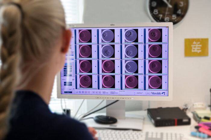 Person analyzing embryo images on a computer screen in a lab setting