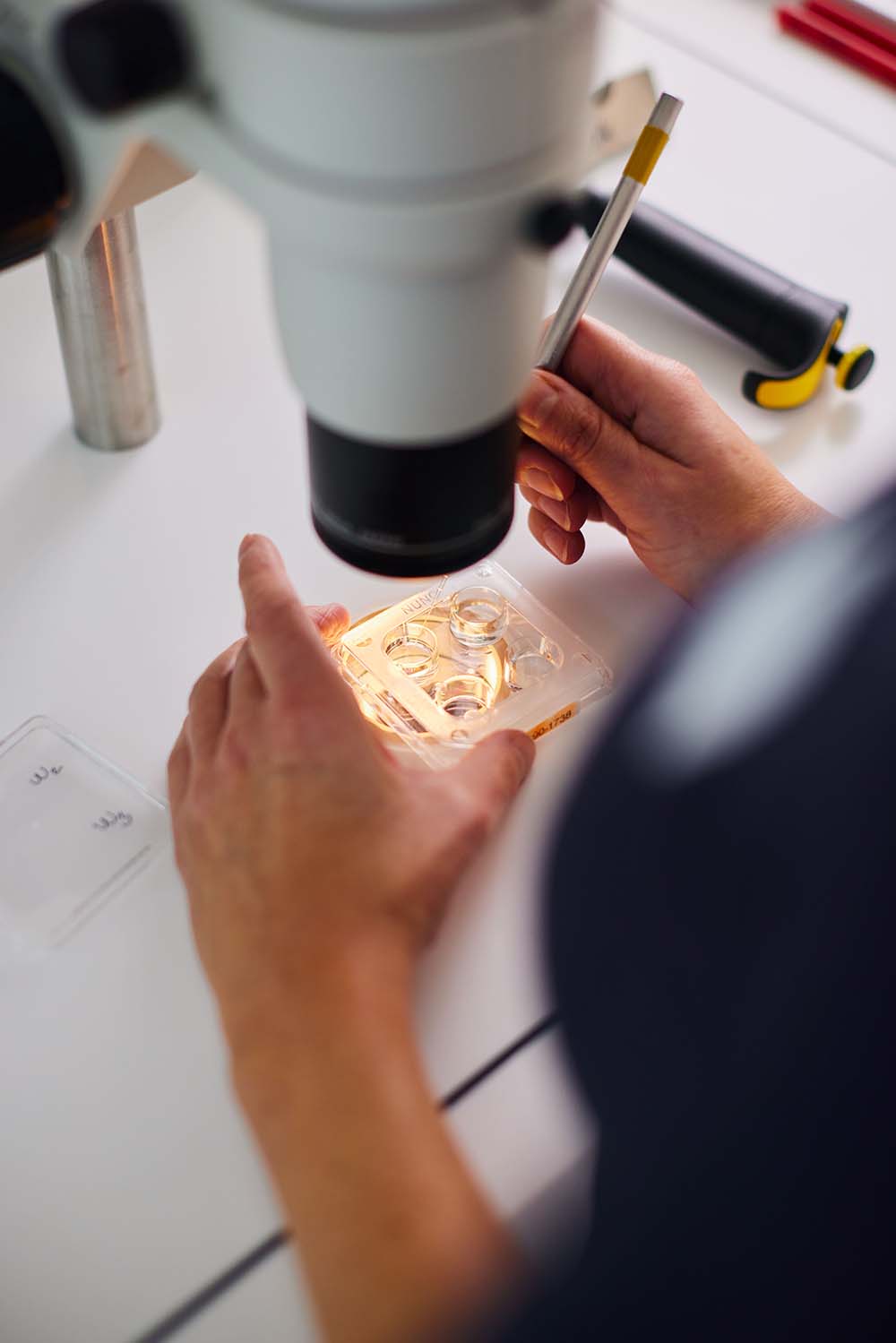 Præcisionsarbejde i laboratoriet under sterile forhold