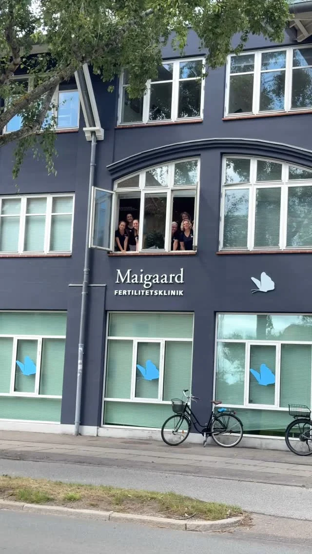 ☀️Vi holder åbent hele sommeren! ☀️

Selvom sommerferien er over os, og nogle af vores dygtige medarbejdere nyder en velfortjent pause, holder vi i Aarhus fortsat åbent og er klar til at tage imod jer med varme smil og professionel behandling.

Vi glæder os til at byde jer velkommen – uanset om I er i gang med et forløb eller lige er startet jeres fertilitetsrejse 🦋

Klinikken i Odense holder lukket i uge 30 & 31 

#MaigaardFertilitetsklinik #Fertilitetsbehandling #ViErHerHeleSommeren #Fertilitetsrejse